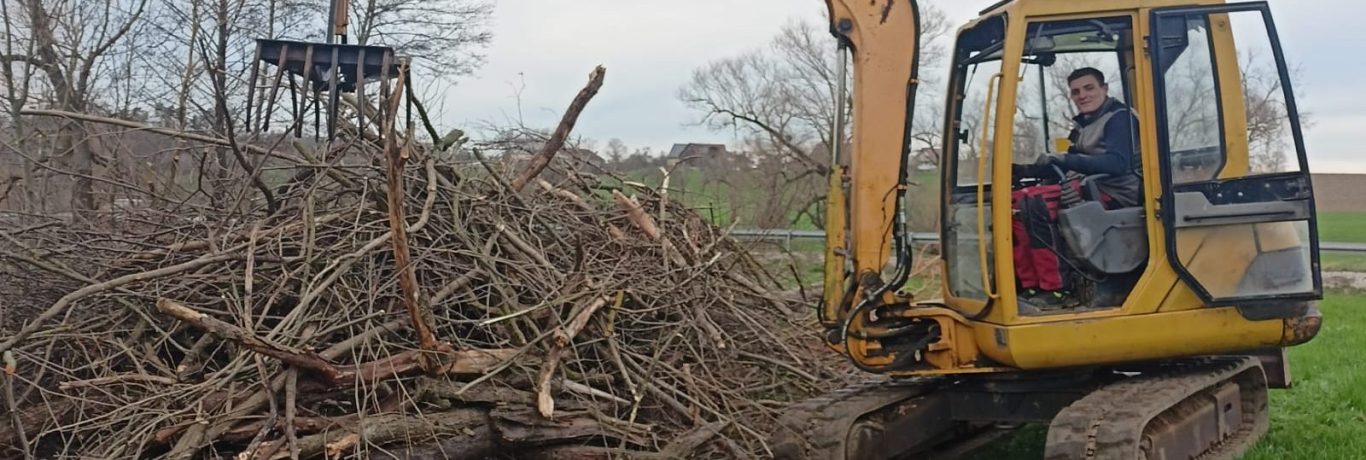 Image by grunzibaer from Pixabay Image by grunzibaer from Pixabay